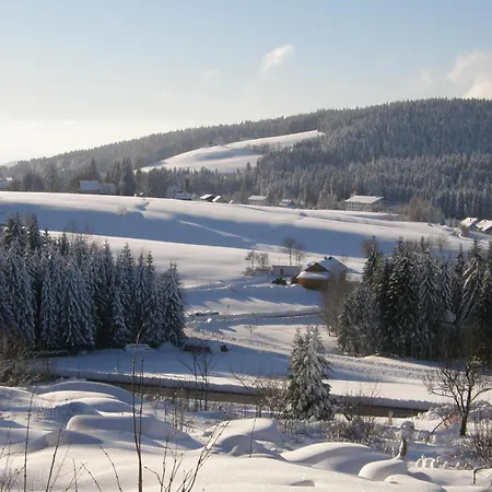Dreisessel-chalets Im Bayerischen Wald - Ploeckenstein - Mit Whirlpool-sauna-kamin