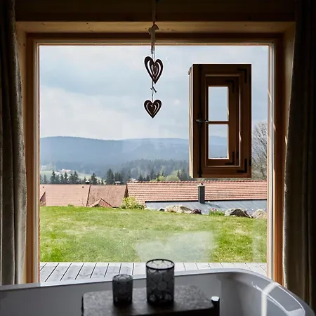 Chalet Dreisessel-chalets Im Bayerischen Wald - Plöckenstein - Mit Whirlpool-sauna-kamin Haidmühle