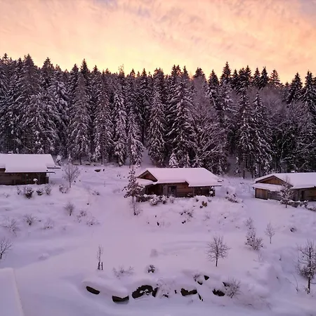 Dreisessel-chalets Im Bayerischen Wald - Ploeckenstein - Mit Whirlpool-sauna-kamin Chalet