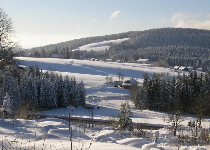 Dreisessel-chalets Im Bayerischen Wald - Ploeckenstein - Mit Whirlpool-sauna-kamin