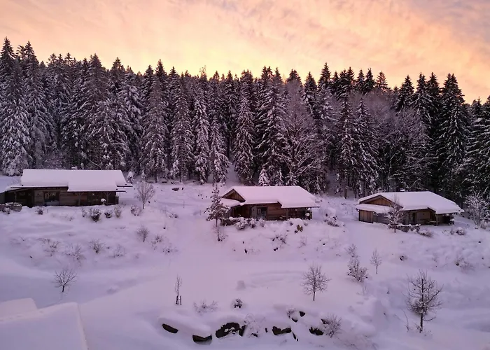 Dreisessel-chalets Im Bayerischen Wald - Ploeckenstein - Mit Whirlpool-sauna-kamin 샬레